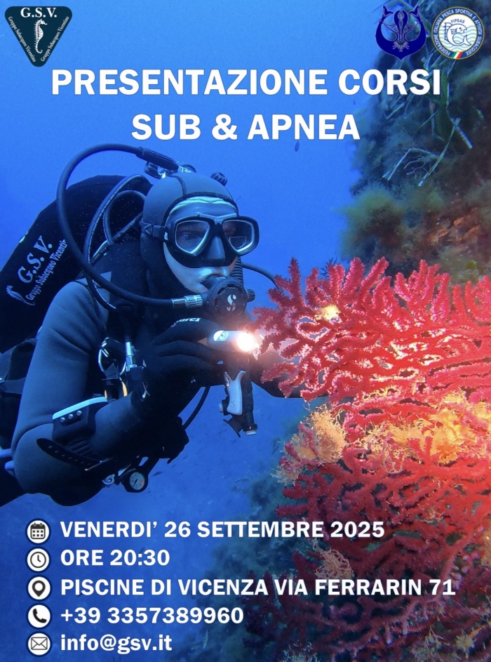 scuba apnea sub freediving corsi school gruppo subacqueo vicentino